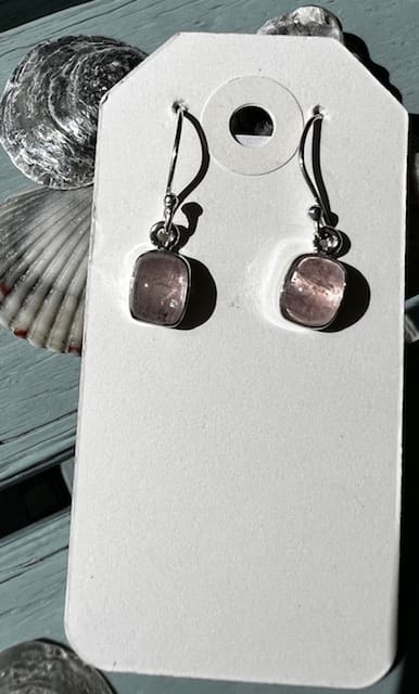 A pair of earrings hanging on a card board.